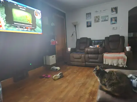 Photo of Cloaker’s cat 4