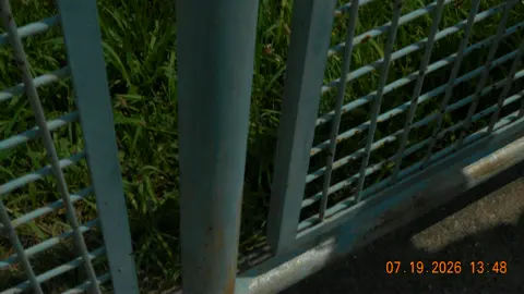 Trip photo 27