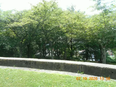Trip photo 40