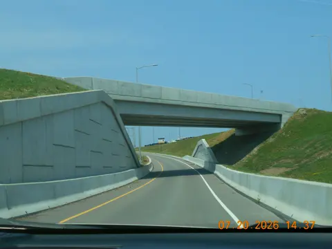 Trip photo 54